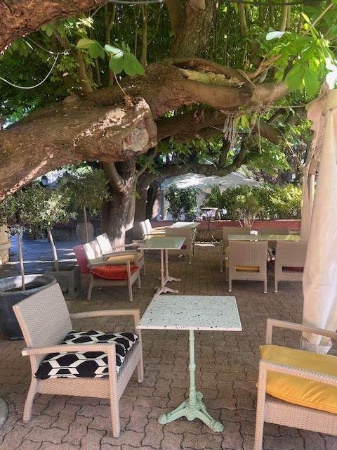 TERRASSE SOUS LES ARBRES